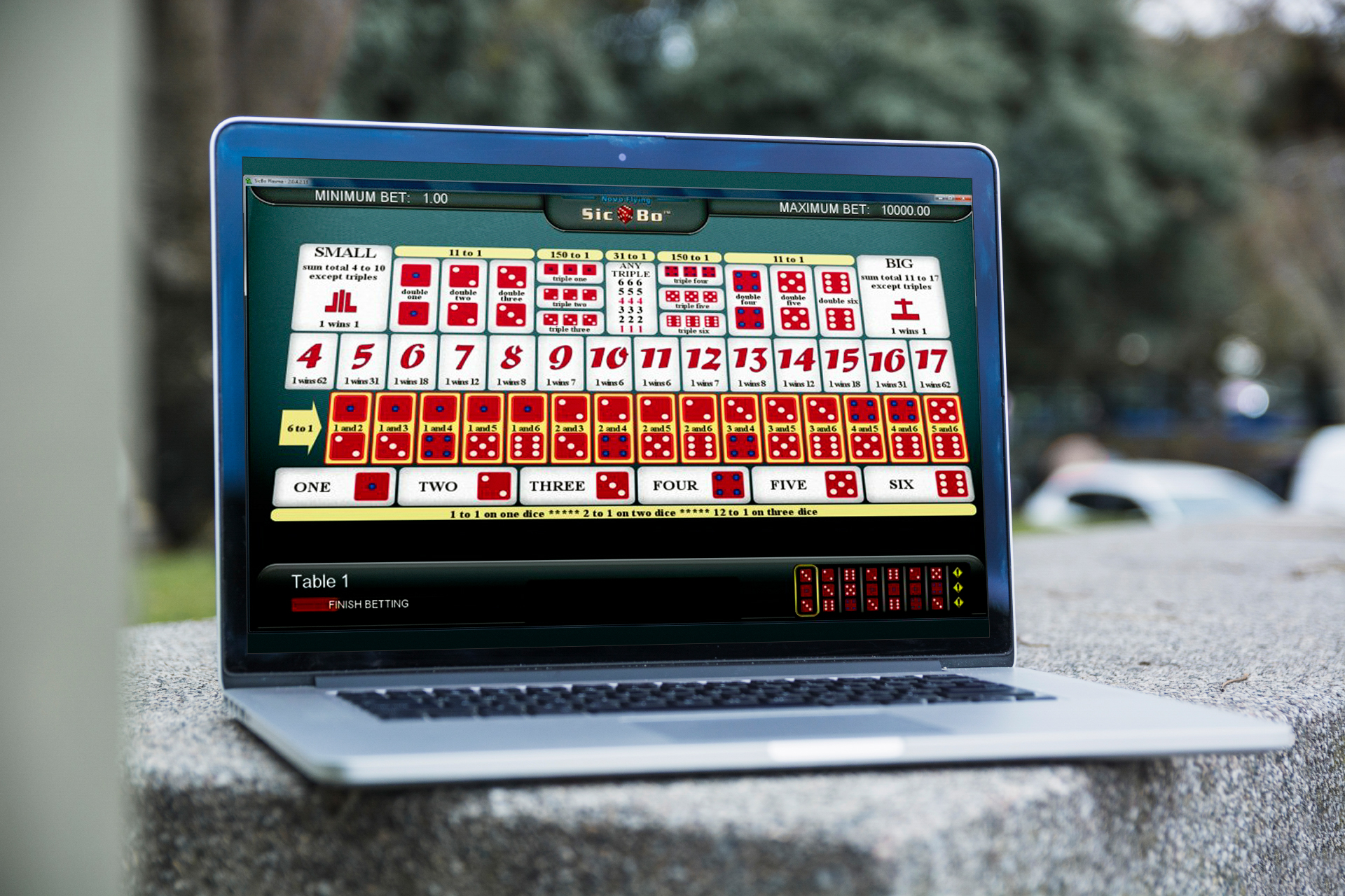 You need three dice to play Sic Bo.