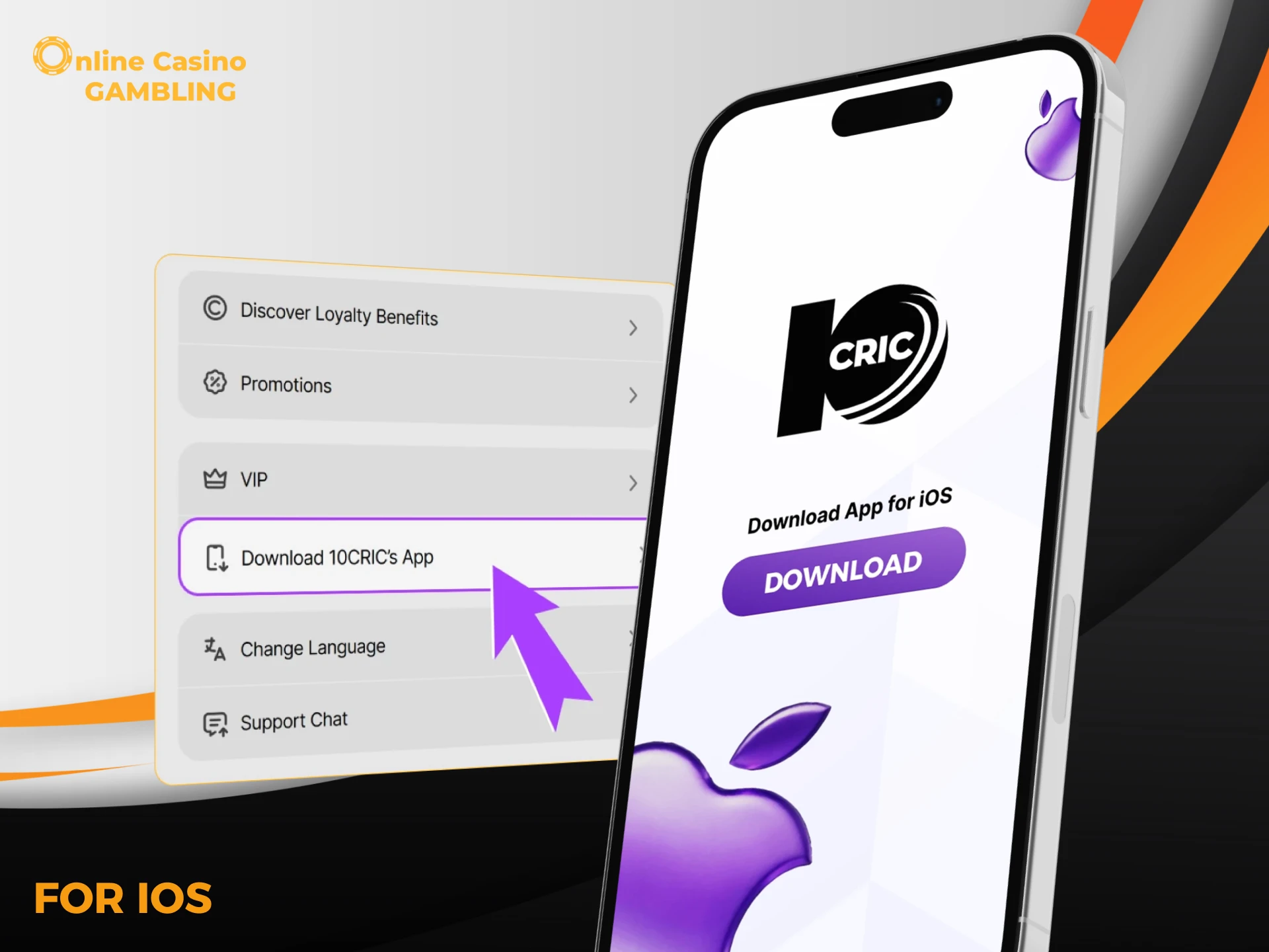 Step-by-step instructions for installing 10Cric on iOS.