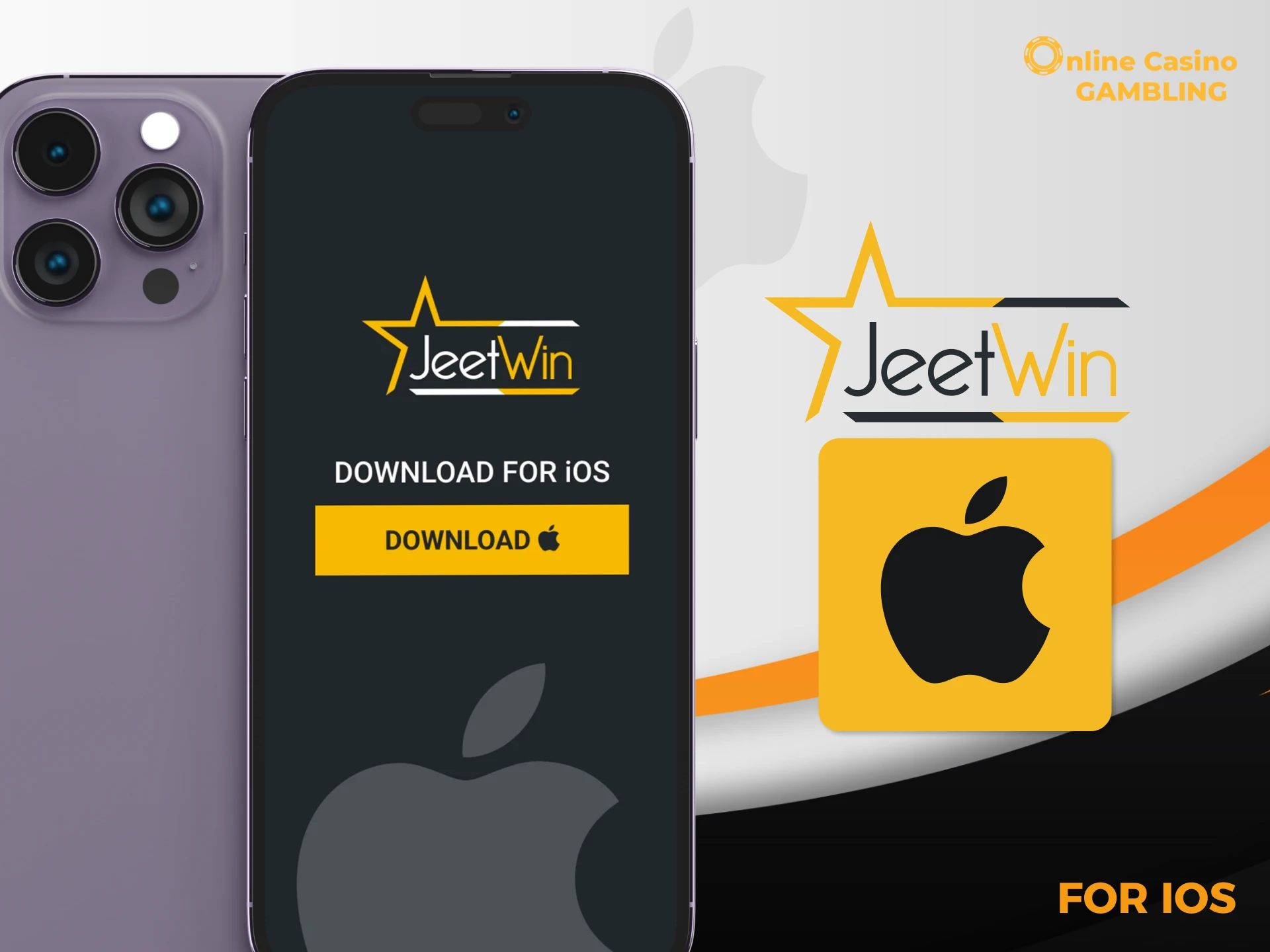Detailed instructions on downloading the Jeetwin app to your iOS device.