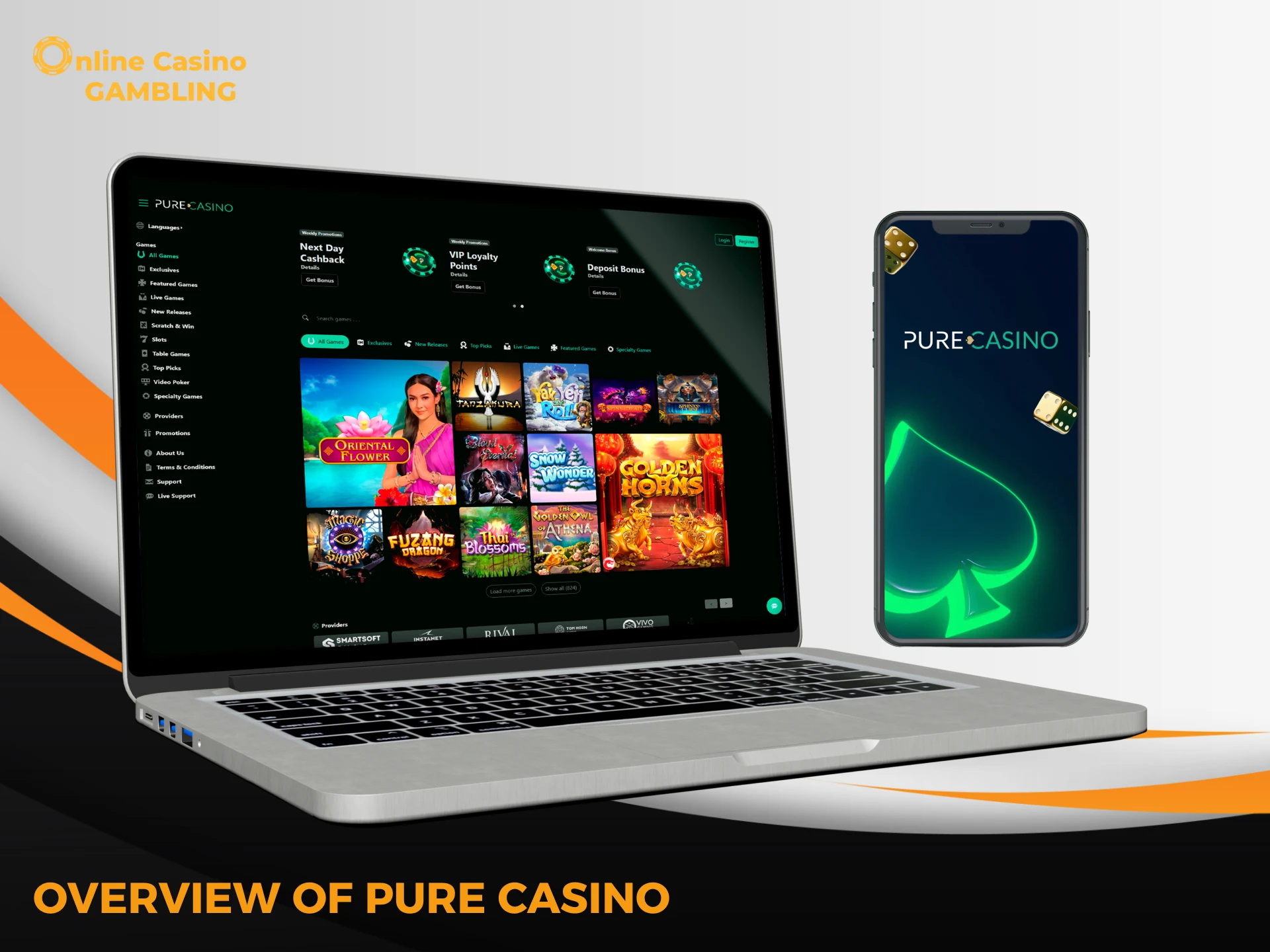 Learn more about the official Pure Casino website.